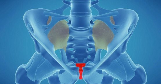 Qiyomat kuni insonlar nimadan yaratiladi?