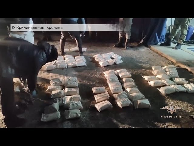 Доғистонда хавфсизлик кучлари ярим тоннадан ортиқ марихуана етказиб берилишини тўхтатди