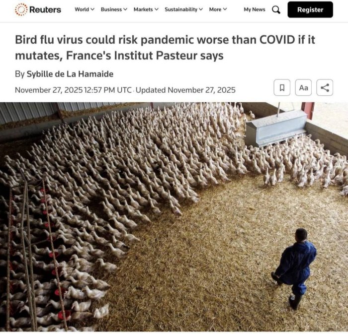 Парранда гриппи вируси COVID-19 дан ҳам жиддийроқ пандемияга олиб келиши мумкин