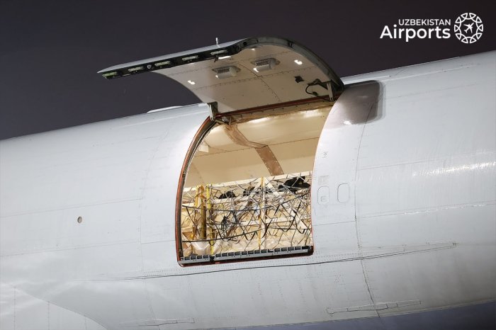 Belgiyadan Toshkentga samolyotda 93 tonna zotdor qoramollar yetkazildi