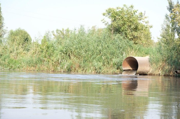 Bo‘zsuvga chiqindi tashlaganlik uchun belgilangan 60 mln jarimani bekor qildirishga va’da berishdi, ammo...
