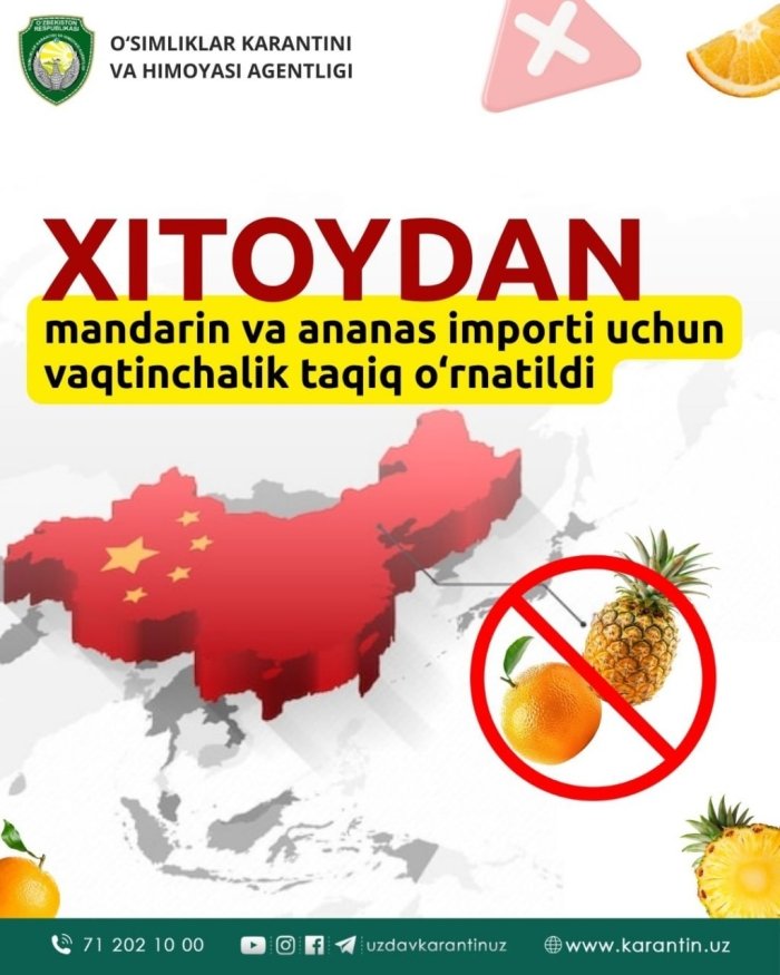 Xitoydan mandarin va ananas importi uchun vaqtinchalik taqiq o‘rnatildi