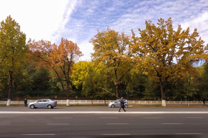 21 ноябрь куни бизни қандай об-ҳаво кутмоқда?