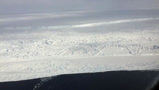 Аргентиналик олимлар Антарктидада турли кўкатларни етиштиришни бошлайди