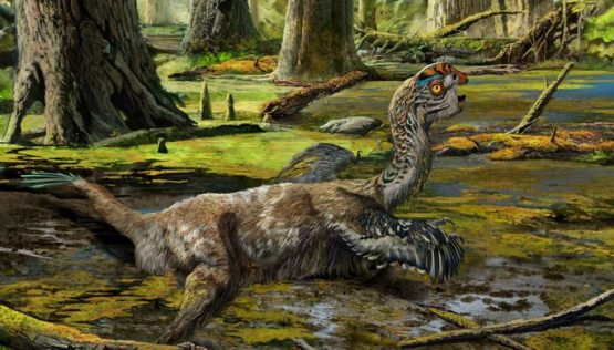 Олимлар энг йирик динозавр суякларини топишди