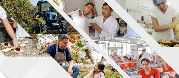 Oilaviy tadbirkorlar soni bo‘yicha qaysi hududlar yetakchi?