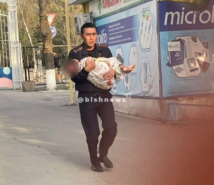 Bishkekda 6 yoshli bolani itlar taladi