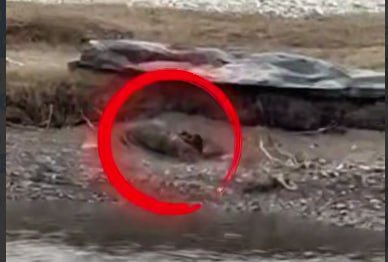 Jasad 80 kundan so‘ng topildi