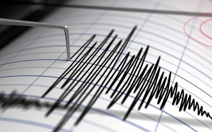 Mutaxassis: Turkiyadagi zilzilalarning bir muddat davom etishi kutilmoqda