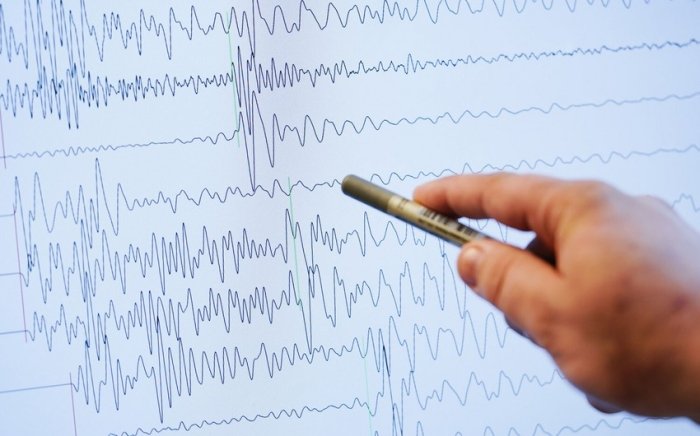 Бир суткада Камчаткада 43 марта ер силкиниши содир бўлди