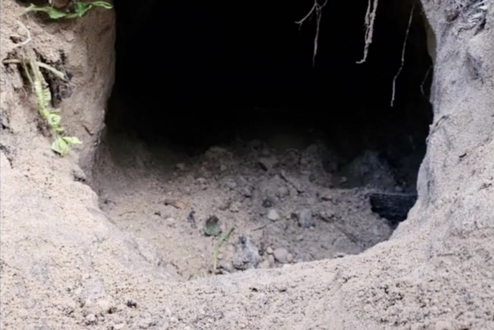 Noqonuniy muhojirlar Belarusdan Polshaga borish uchun tunnel qazishdi