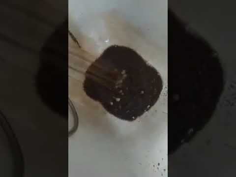 Яшнобод туманидаги хонадонлар кранидан ифлос сув тушмоқда (видео)