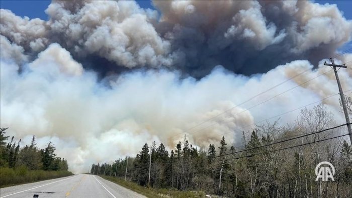 Kanadadagi yong‘inlar 17 million gektar o‘rmonni yo‘q qildi