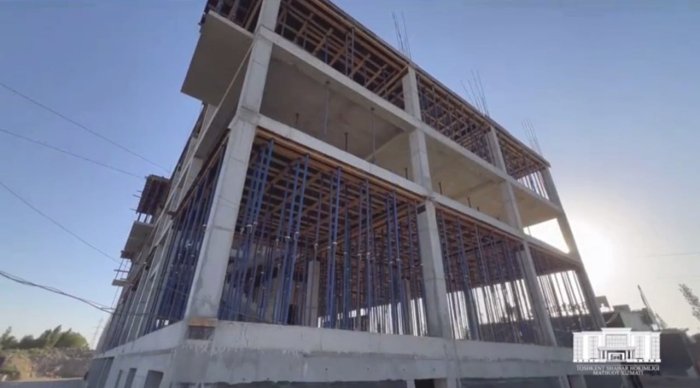 Hol mushuklar va mushuklar Anal jinsiy aloqa mashgulotlari