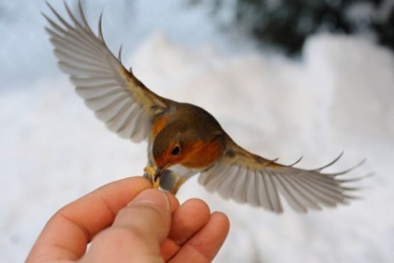 yalangoch etuk sochli ayollar