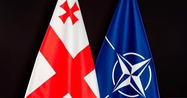 DW: Грузияда NATO давлатлари иштирокида ҳарбий машғулотлар ўтказилмоқда