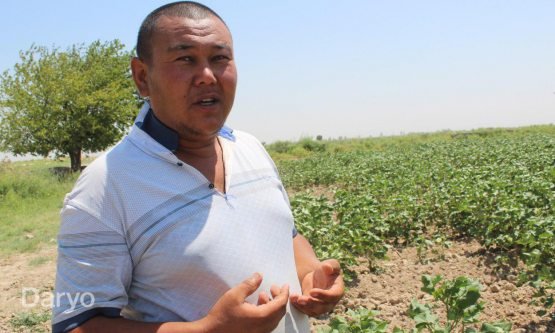 Қашқадарёлик фермер ИИБ бошлиқларининг навбатдаги зўравонлигини фош этди
