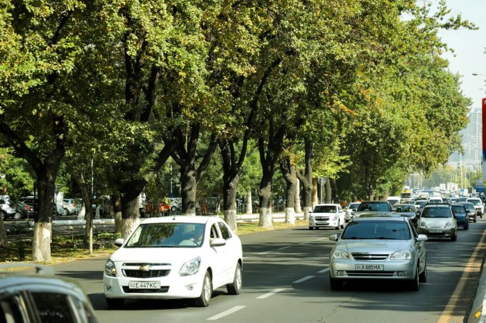 Toshkent shahri havosi ifloslanishining sabablari nimada?