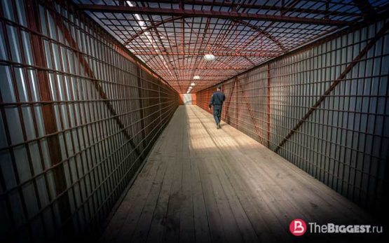 35 yoshdan oshganlar uchun barcha porno Uning dugonasi sikilganini korish