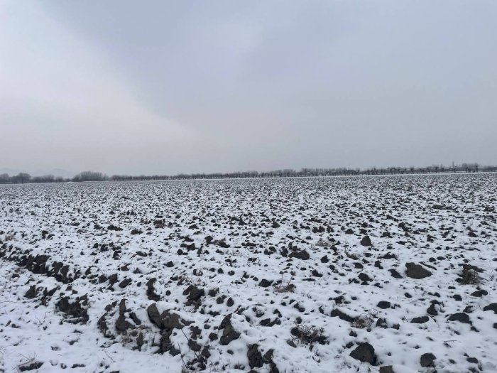 МИБ: Пахтачи туманида қарздорлик сабаб ер майдонлари хатланди