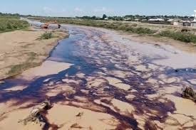 Surxondaryodagi suv havzalaridan biri neftga o‘xshash modda bilan ifloslandi