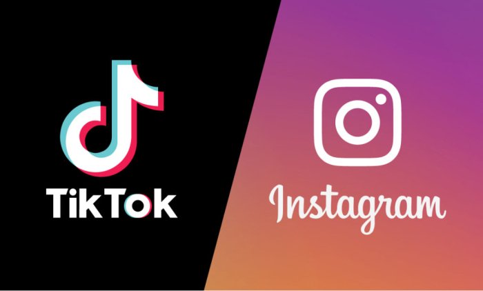 Germaniya TikTok va Instagramni taqiqlamoqchi 
