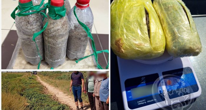 Toshkent va Qashqadaryo viloyatlarida narkotik moddalar savdosiga chek qo‘yildi
