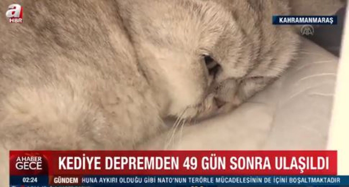 Busty ayollar bilan jinsiy aloqa xususiy video