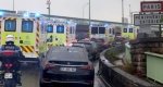 Францияга қайтган круиз кемаси йўловчисида ҳантавирус аломати аниқланди