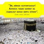 Ҳаждан кейин қандай ҳаёт кечирасиз? Ҳаждан кейин қандай ҳаёт кечирасиз?