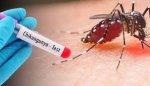 Evropa chikungunya virusi o‘chog‘iga aylanishi mumkin