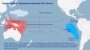 So‘nggi 140 yildagi eng kuchli El-Nino hodisasi yaqinlashmoqda. Bu butun dunyodagi ob-havoga ta’sir qilishi mumkin