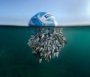«2024 British Wildlife Photographer of the Year»  yovvoyi tabiat fotosuratlari mukofoti g‘olibi aniqlandi