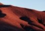 Qaysi bakteriyalar Mars sharoitida yashab ketishi ma’lum bo‘ldi Qaysi bakteriyalar Mars sharoitida yashab ketishi ma’lum bo‘ldi