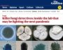 Olimlar keyingi pandemiyaning oldini olishga harakat qilmoqdalar: bu safar qo‘ziqorin pandemiyasi