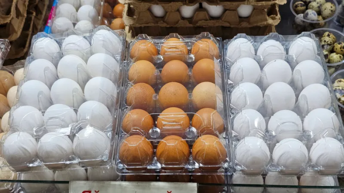 Qozog‘istonga chetdan tovuq tuxumlarini olib kirish vaqtincha cheklandi