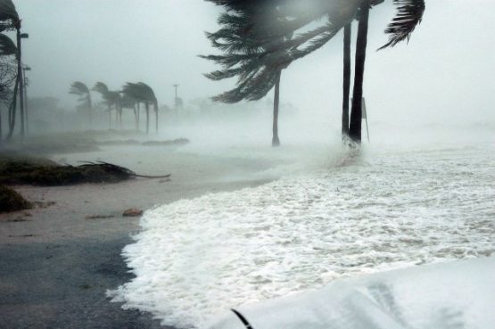 Хитойда «Хагупит» тайфуни:  400 мингга яқин одам эвакуация қилинди 