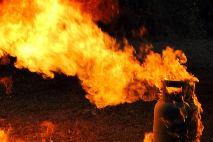 Keksa mushuk bilan jinsiy aloqada bolgan keksa ayollarning porno videolari Gruziya va Dogiston porno yulduzlar video