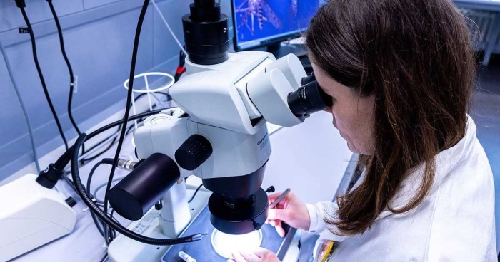 Evropada chaqaloqlar o‘rtasida ekxovirus infeksiyasi keng tarqalmoqda