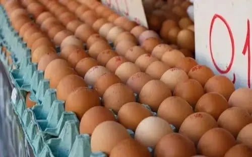 Европа Иттифоқи мамлакатларида тухум нархи ошди