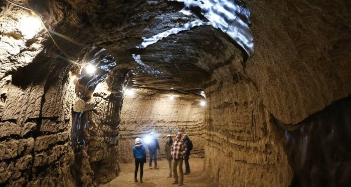 АҚШ олимлари Аляскада тахминан 40 минг йил аввал музлаган "қадимий ҳаёт"ни уйғотишди