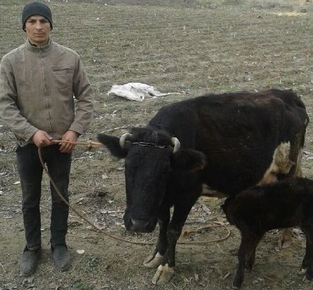 Dadam qizi porno tomosha