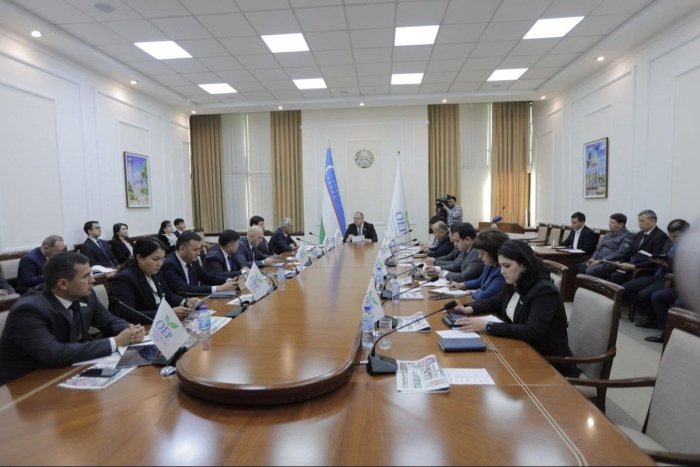 Вазир ёки ҳокимликка номзодлар коррупцияга қарши режа тақдим этади