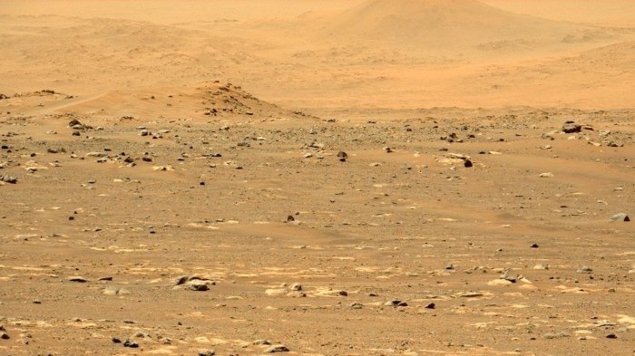 Marsda uylar bakteriyalar yordamida quriladi