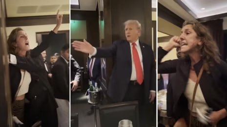 "Tramp — zamonamiz Gitleri!"