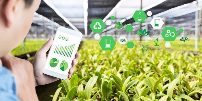 Аграр соҳада тўловлар агентлиги ташкил этилади