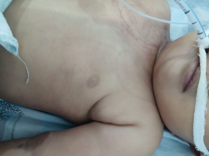 Katta kokrakli Gianna Maykls sevgilisi tomonidan agressiv tarzda becerildi 90-yillarning eng yaxshi amerikalik porno aktrisalari