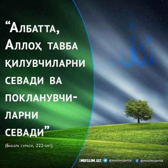 Намозни қоим қилиш нима дегани? Намозни қоим қилиш нима дегани?
