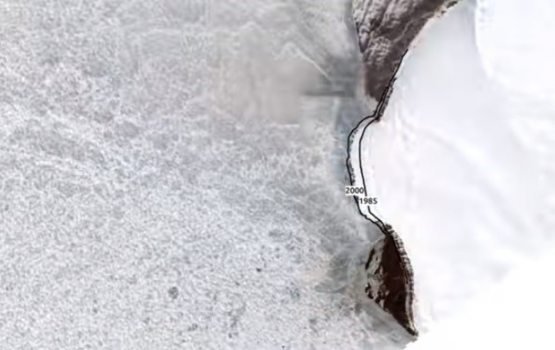 Арктикадаги ҳарорат яна рекорд даражага кўтарилди