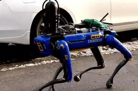 Nyu-Yorkda polisiya robot-itlari ko‘chalarni qo‘riqlamoqda (video)